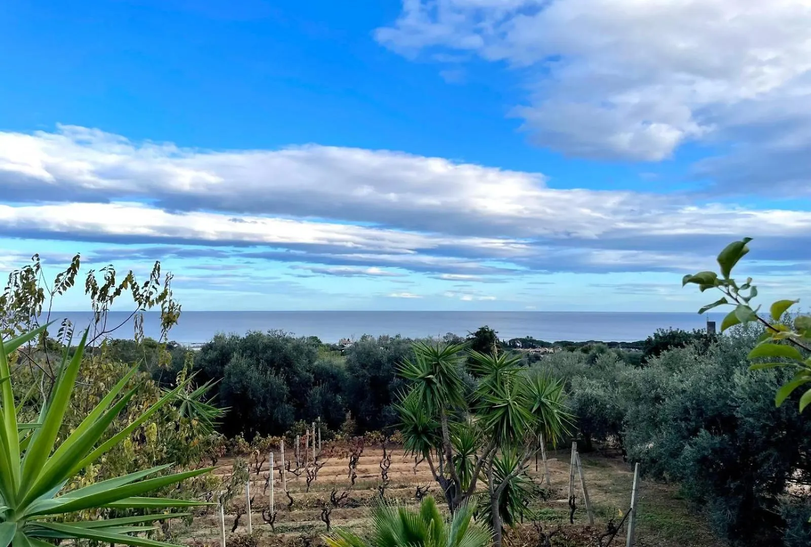 Villa Bellavista Apartments Bari Sardo